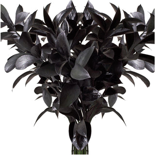 Black Painted Ruscus Green flowers - fresh-cut flowers by Bloomingmore - ideal for weddings and floral events