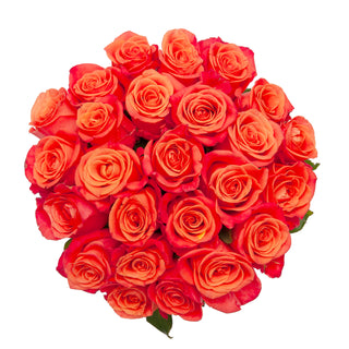 Blooming Boxes, Orange Roses Orange roses - fresh-cut roses by Bloomingmore - ideal for weddings and floral events