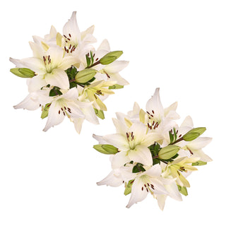 Blooming Boxes, White LA Hybrid Lilies White flowers - fresh-cut flowers by Bloomingmore - ideal for weddings and floral events