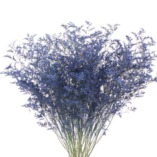 Blue Tinted with Glitter Limonium - 15 Bunches Green flowers - fresh-cut flowers by Bloomingmore - ideal for weddings and floral events