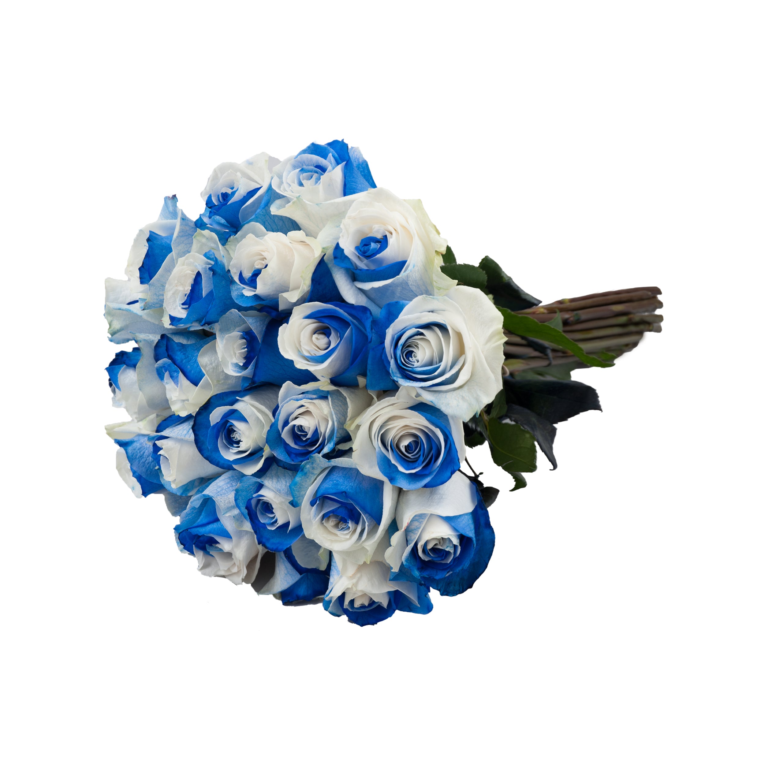 How To Make A White Rose Blue