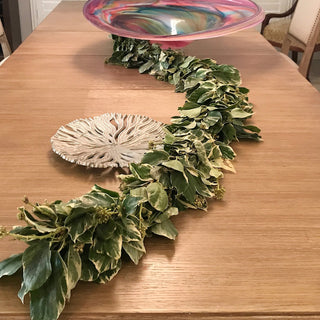 Bush Ivy Variegated Garland Green flowers - fresh-cut flowers by Bloomingmore - ideal for weddings and floral events