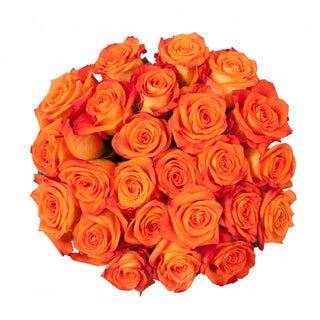 Careless Whisper Roses Orange roses - fresh-cut roses by Bloomingmore - ideal for weddings and floral events