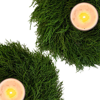 Cedar Candle Ring Green flowers - fresh-cut flowers by Bloomingmore - perfect for gifting or decoration