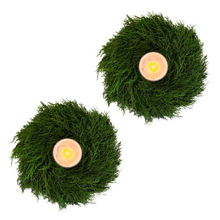 Cedar Candle Ring Green flowers - fresh-cut flowers by Bloomingmore - perfect for gifting or decoration