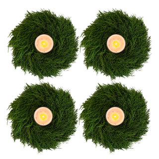 Cedar Candle Ring Green flowers - fresh-cut flowers by Bloomingmore - perfect for gifting or decoration