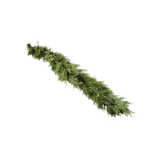 Cedar Garland 25' Green flowers - fresh-cut flowers by Bloomingmore - perfect for gifting or decoration