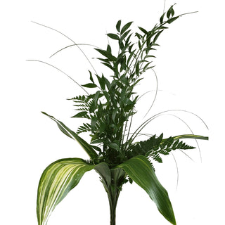 Chic Greens Bouquet Green flowers - fresh-cut flowers by Bloomingmore - perfect for gifting or decoration