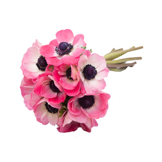 Light Pink Anemones Pink flowers - fresh-cut flowers by Bloomingmore - ideal for weddings and floral events