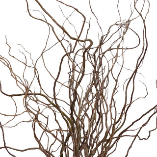 Curly Willow Tips Green flowers - fresh-cut flowers by Bloomingmore - ideal for weddings and floral events