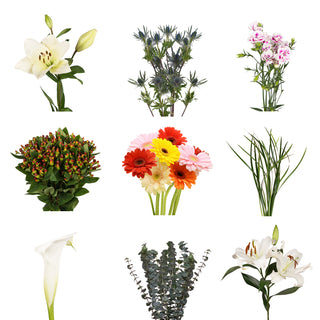 DIY Design Collection - Precious - 135 Stems DIY flowers - fresh-cut flowers by Bloomingmore - ideal for weddings and floral events