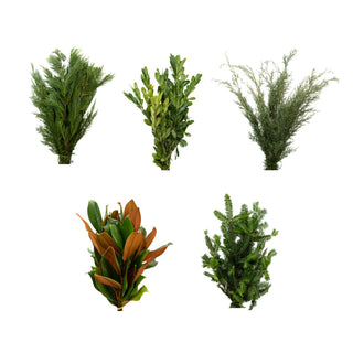 Deluxe Holiday Combo Green flowers - fresh-cut flowers by Bloomingmore - ideal for weddings and floral events