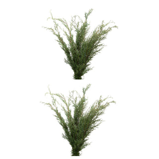 Deluxe Holiday Combo Green flowers - fresh-cut flowers by Bloomingmore - ideal for weddings and floral events