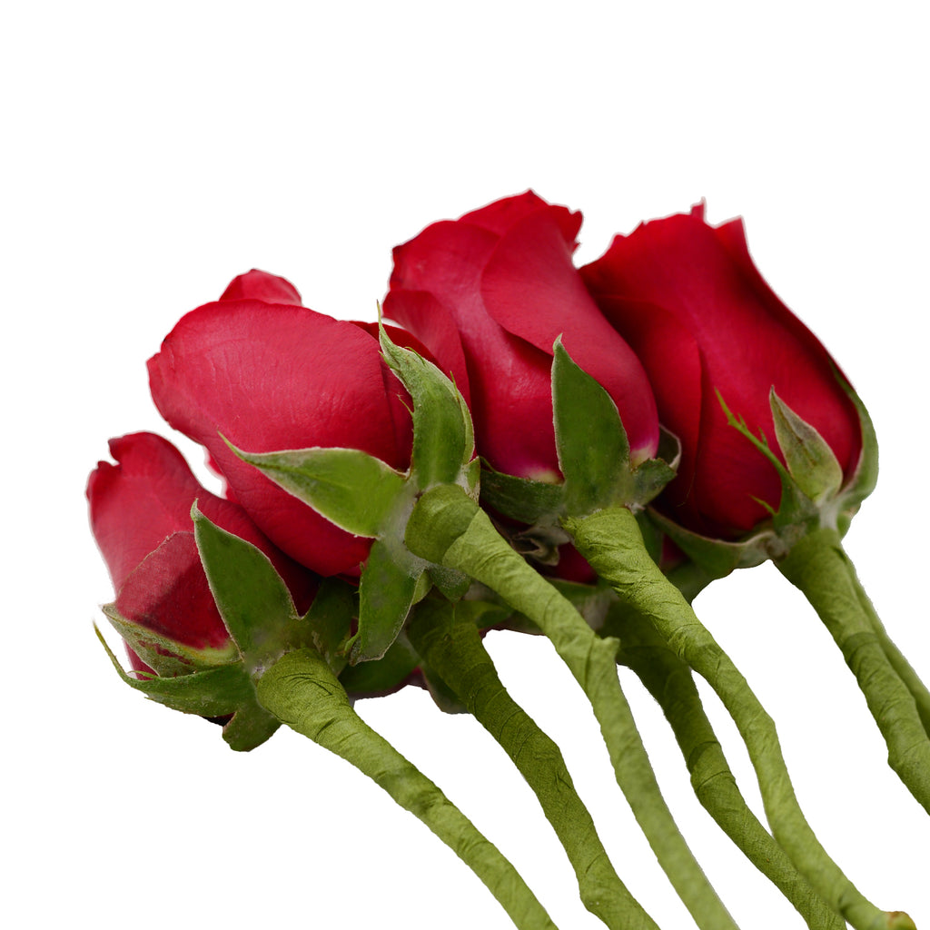 Do_It_Yourself_Wired_Red_Roses_Red_roses_Bloomingmore_A.jpg?v ...