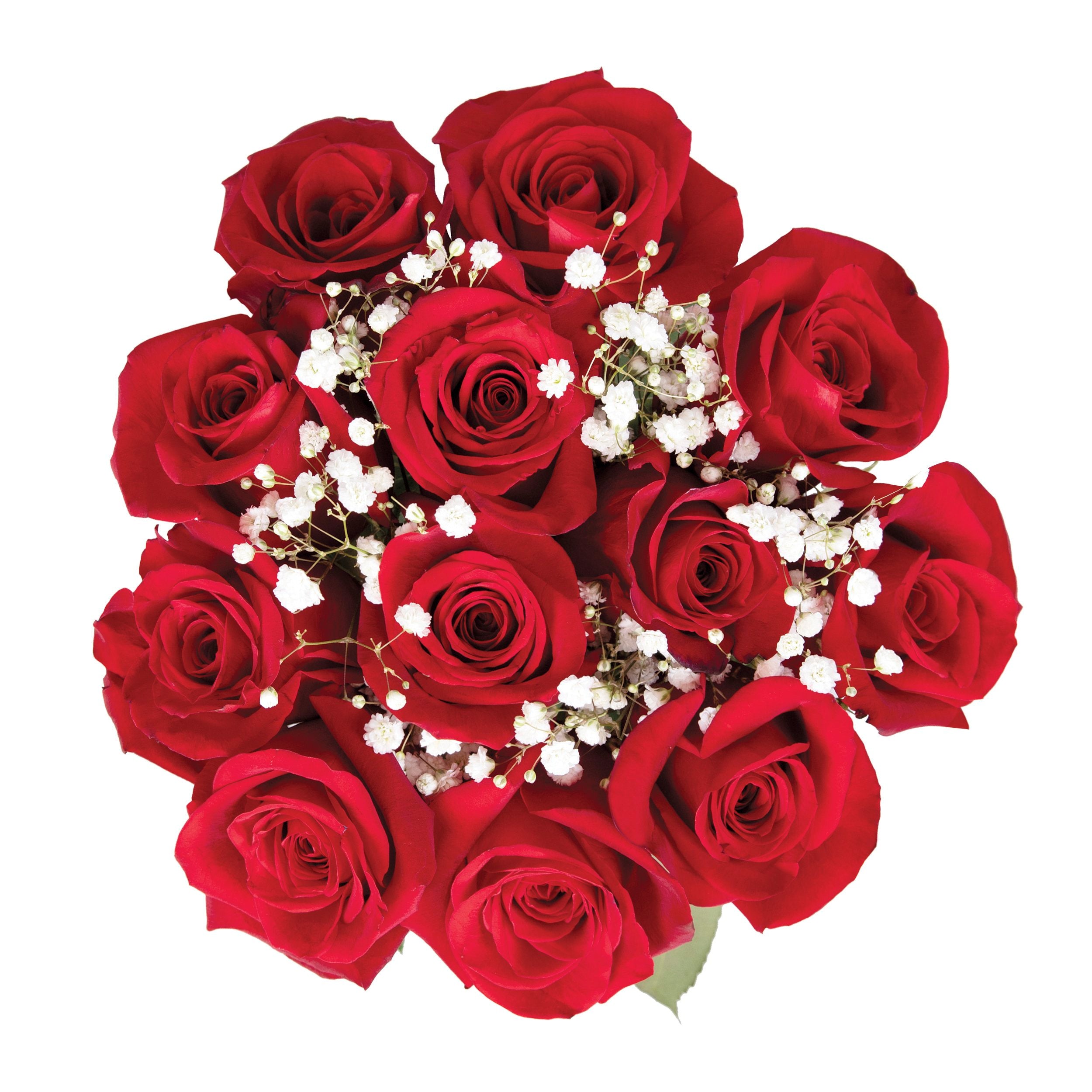 Dozen_Red_Roses_Bouquet_Bloomi