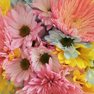 Easter Fun Flower Mixed Bouquet Easter flowers - fresh-cut flowers by Bloomingmore - ideal for weddings and floral events