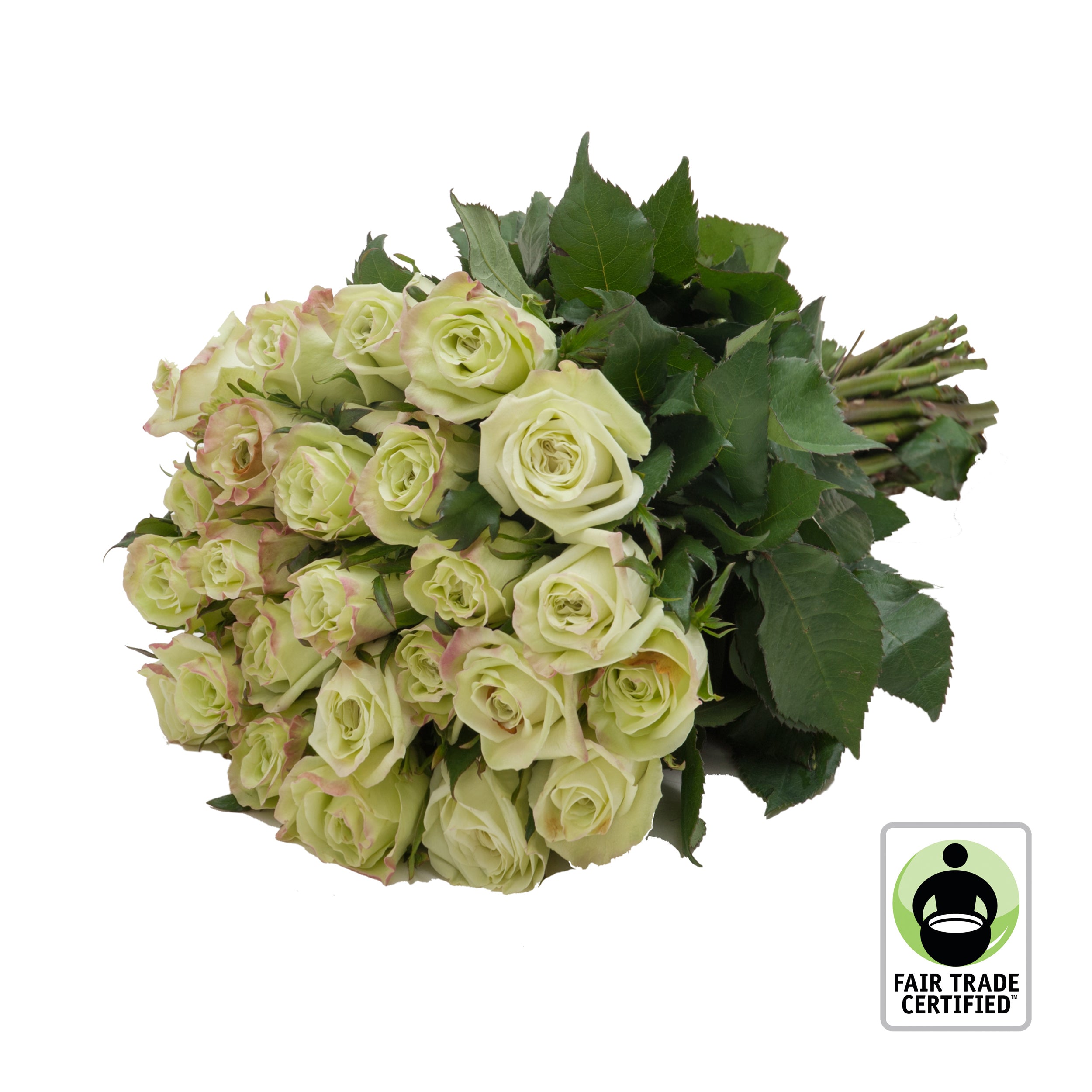 How To Get Green Roses