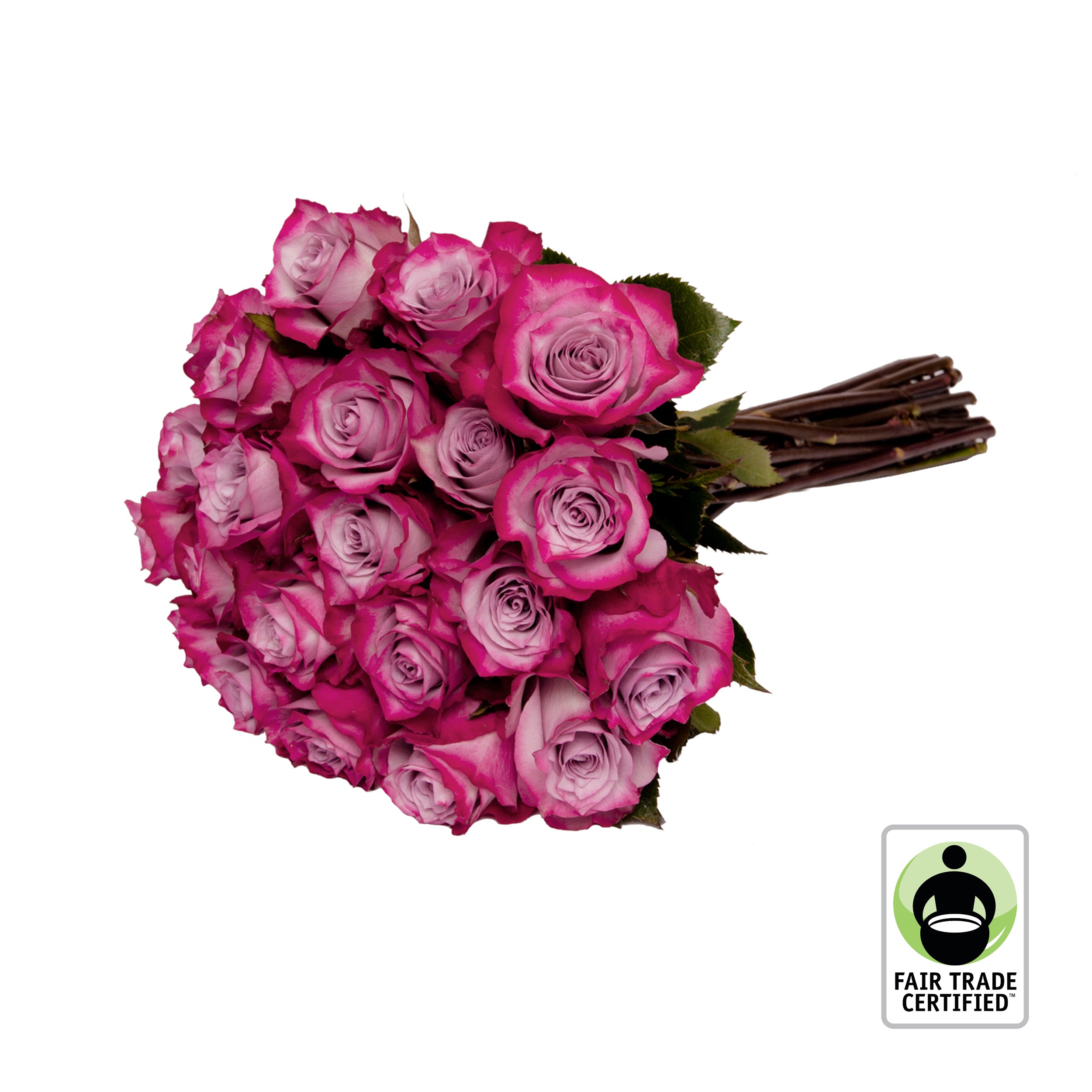 Fair Trade Natural Lavender Roses - Choose from 25 to 100 Stems