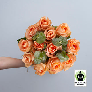 Fair Trade Natural Peach Roses - Choose from  25 to 100 Stems Peach roses - fresh-cut roses by Bloomingmore - ideal for weddings and floral events
