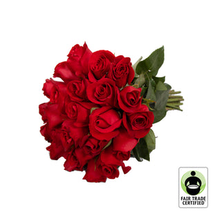 Fair Trade Natural Red Roses - Choose from  25 to 100 Stems Red roses - fresh-cut roses by Bloomingmore - ideal for weddings and floral events