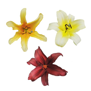 Fall Assorted - O.T. Lilies - Pack 30 Fall flowers - fresh-cut flowers by Bloomingmore - ideal for weddings and floral events