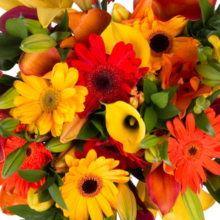 Fall Explosion Bouquet Fall flowers - fresh-cut flowers by Bloomingmore - ideal for weddings and floral events