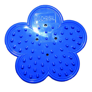 Flower Stripper Flower flowers - fresh-cut flowers by Bloomingmore - ideal for weddings and floral events