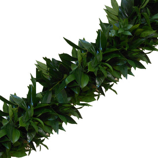 Fresh Handmade Garland - Cocculus & Italian Ruscus Green flowers - fresh-cut flowers by Bloomingmore - ideal for weddings and floral events