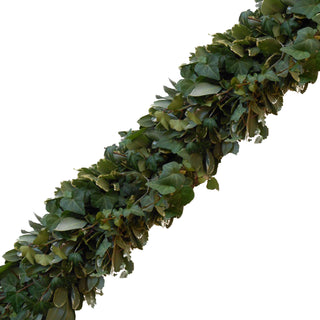 Fresh Handmade Garland - Variegated Pittosporum & Green Ivy Green flowers - fresh-cut flowers by Bloomingmore - ideal for weddings and floral events