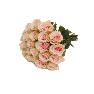 Frutetto Roses Frutetto roses - fresh-cut roses by Bloomingmore - ideal for weddings and floral events