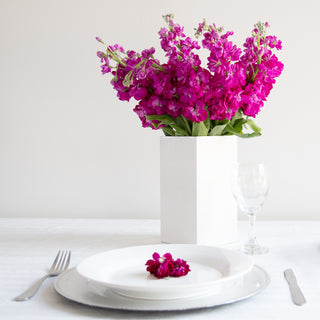 Fucsia Stock Pink flowers - fresh-cut flowers by Bloomingmore - ideal for weddings and floral events