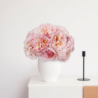 Garden Rose, Princess Charlene of Monaco - 36 Stems Pink roses - fresh-cut roses by Bloomingmore - ideal for weddings and floral events