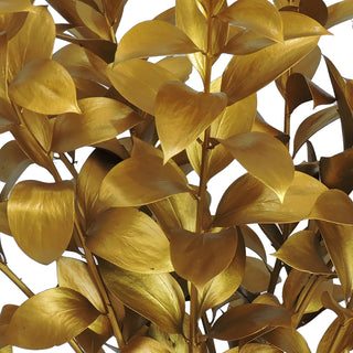 Gold Painted Ruscus Green flowers - fresh-cut flowers by Bloomingmore - ideal for weddings and floral events