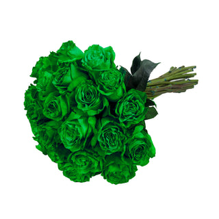 Green Tinted Roses Green roses - fresh-cut roses by Bloomingmore - ideal for weddings and floral events