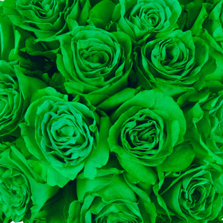 Green Tinted Roses Green roses - fresh-cut roses by Bloomingmore - ideal for weddings and floral events