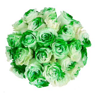 Green & White Tinted Roses White roses - fresh-cut roses by Bloomingmore - ideal for weddings and floral events