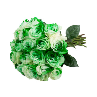 Green & White Tinted Roses White roses - fresh-cut roses by Bloomingmore - ideal for weddings and floral events