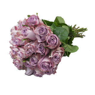 Grey Knight Roses Lavender roses - fresh-cut roses by Bloomingmore - ideal for weddings and floral events