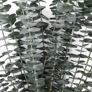 Hanging Baby Blue Eucalyptus Green flowers - fresh-cut flowers by Bloomingmore - ideal for weddings and floral events