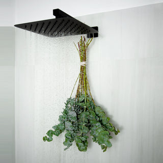 Hanging Baby Blue Eucalyptus Green flowers - fresh-cut flowers by Bloomingmore - ideal for weddings and floral events