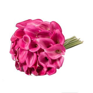 Hot Pink Mini Calla Lilies Pink flowers - fresh-cut flowers by Bloomingmore - ideal for weddings and floral events
