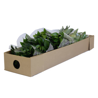 Israeli Green Ruscus Green flowers - fresh-cut flowers by Bloomingmore - ideal for weddings and floral events