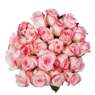 Joyce Roses Pink roses - fresh-cut roses by Bloomingmore - ideal for weddings and floral events