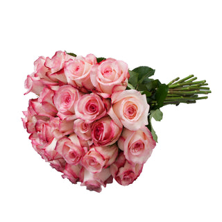 Joyce Roses Pink roses - fresh-cut roses by Bloomingmore - ideal for weddings and floral events