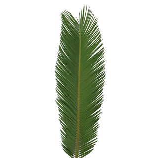 King Sago Palm 5 ft. - 150 Stems Green flowers - fresh-cut flowers by Bloomingmore - ideal for weddings and floral events