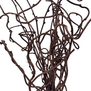 Kiwi Vine Green flowers - fresh-cut flowers by Bloomingmore - ideal for weddings and floral events