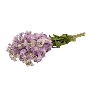 Lavender Stock Lavender flowers - fresh-cut flowers by Bloomingmore - ideal for weddings and floral events
