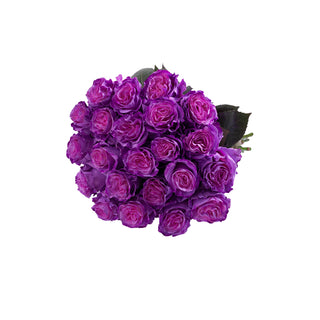 Layla Painted Roses Purple roses - fresh-cut roses by Bloomingmore - ideal for weddings and floral events
