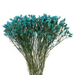 Light Blue Tinted Limonium Green flowers - fresh-cut flowers by Bloomingmore - ideal for weddings and floral events