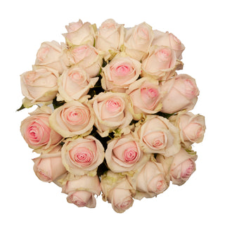 Lorraine Roses Pink roses - fresh-cut roses by Bloomingmore - ideal for weddings and floral events
